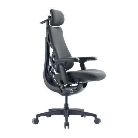 LiberNovo Omni GEN 48 cm Ergonomic Chair (Graphite)